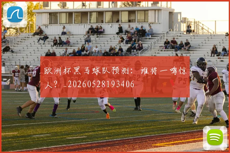 欧洲杯黑马球队预测：谁将一鸣惊人？_20260528193406