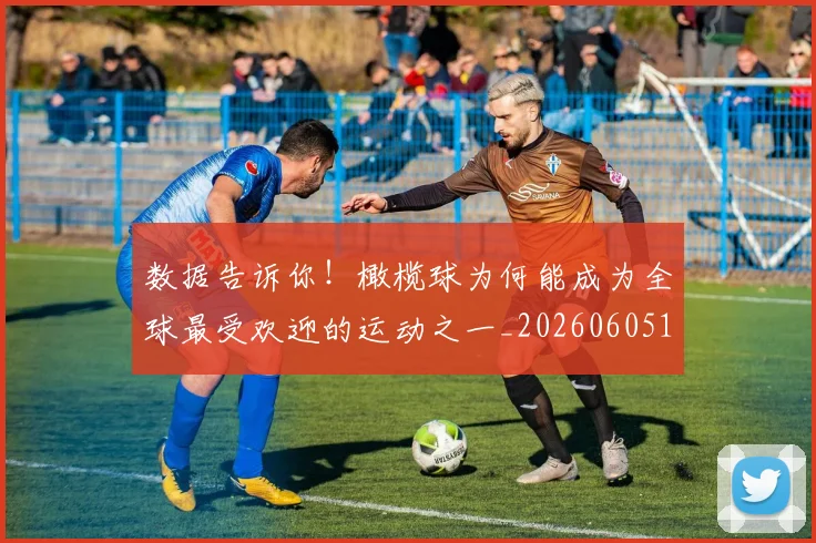 数据告诉你！橄榄球为何能成为全球最受欢迎的运动之一_20260605174544