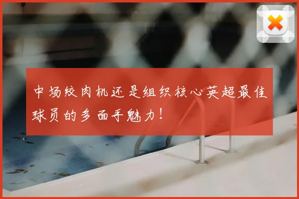 中场绞肉机还是组织核心英超最佳球员的多面手魅力！