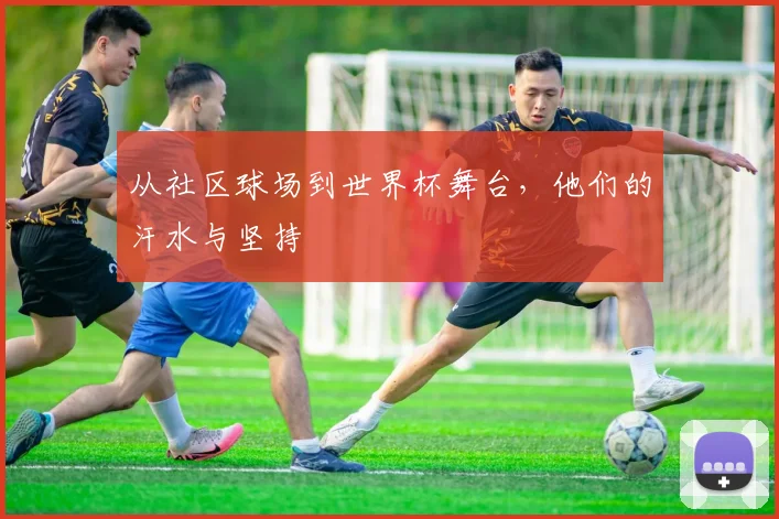 从社区球场到世界杯舞台，他们的汗水与坚持