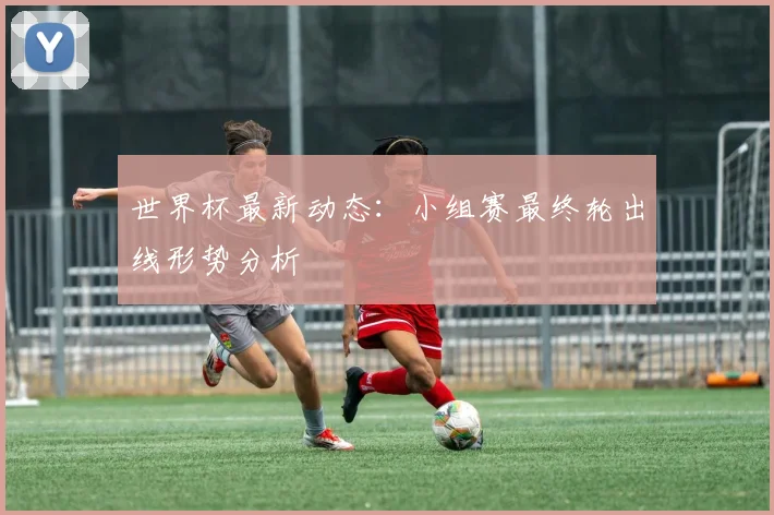 世界杯最新动态：小组赛最终轮出线形势分析
