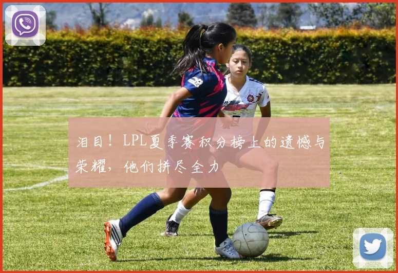泪目！LPL夏季赛积分榜上的遗憾与荣耀，他们拼尽全力